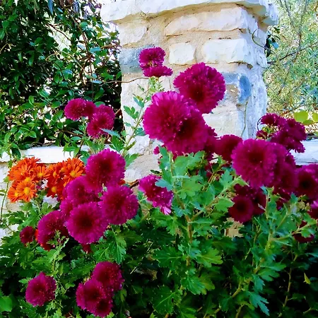 Arhontiko Kordopati Traditional 招待所 Daras