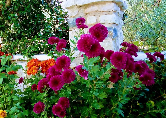 Arhontiko Kordopati Traditional Gæstehus Daras